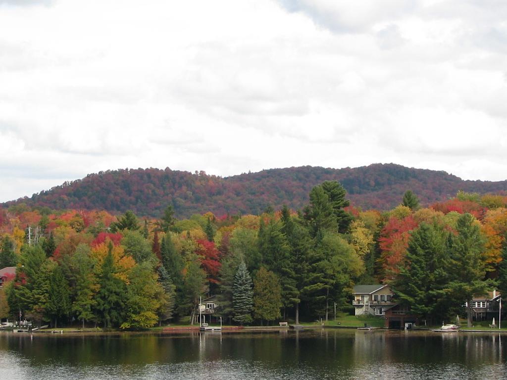 Pine Knoll Hotel Lakeside Lodge & Cabin โอล์ ฟอร์จ ห้อง รูปภาพ